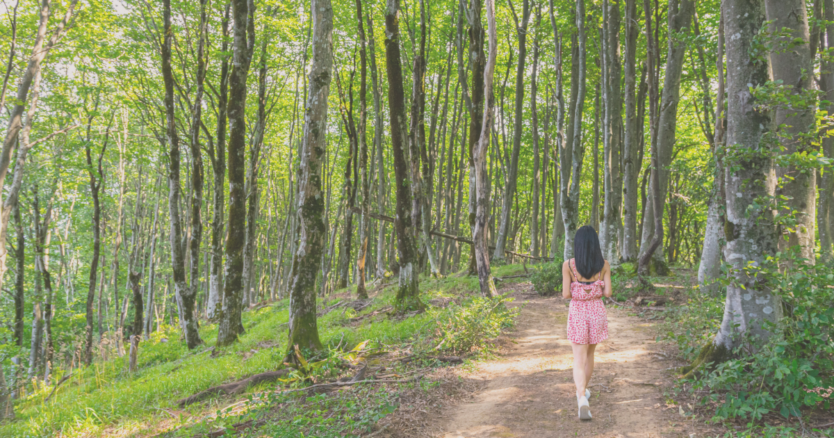 森林の中を歩く女性の後ろ姿